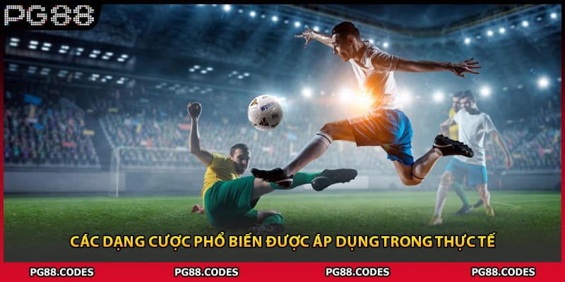 Các dạng cược phổ biến được áp dụng trong thực tế