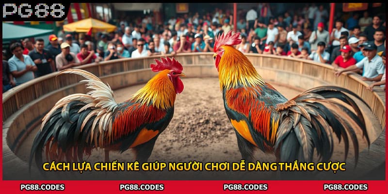 Cách lựa chiến kê giúp người chơi dễ dàng thắng cược