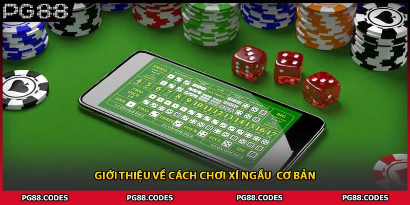 Giới thiệu về cách chơi xí ngầu  cơ bản