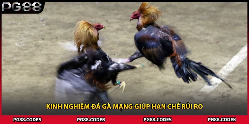 Kinh nghiệm đá gà mạng giúp hạn chế rủi ro